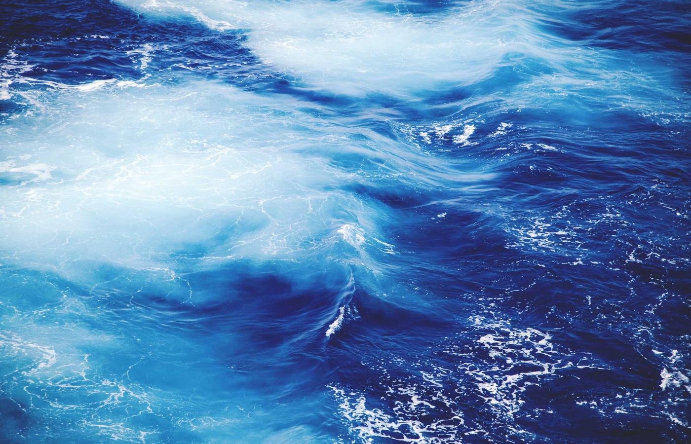 article section image 1