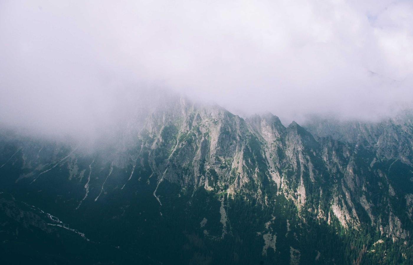 article section image 1