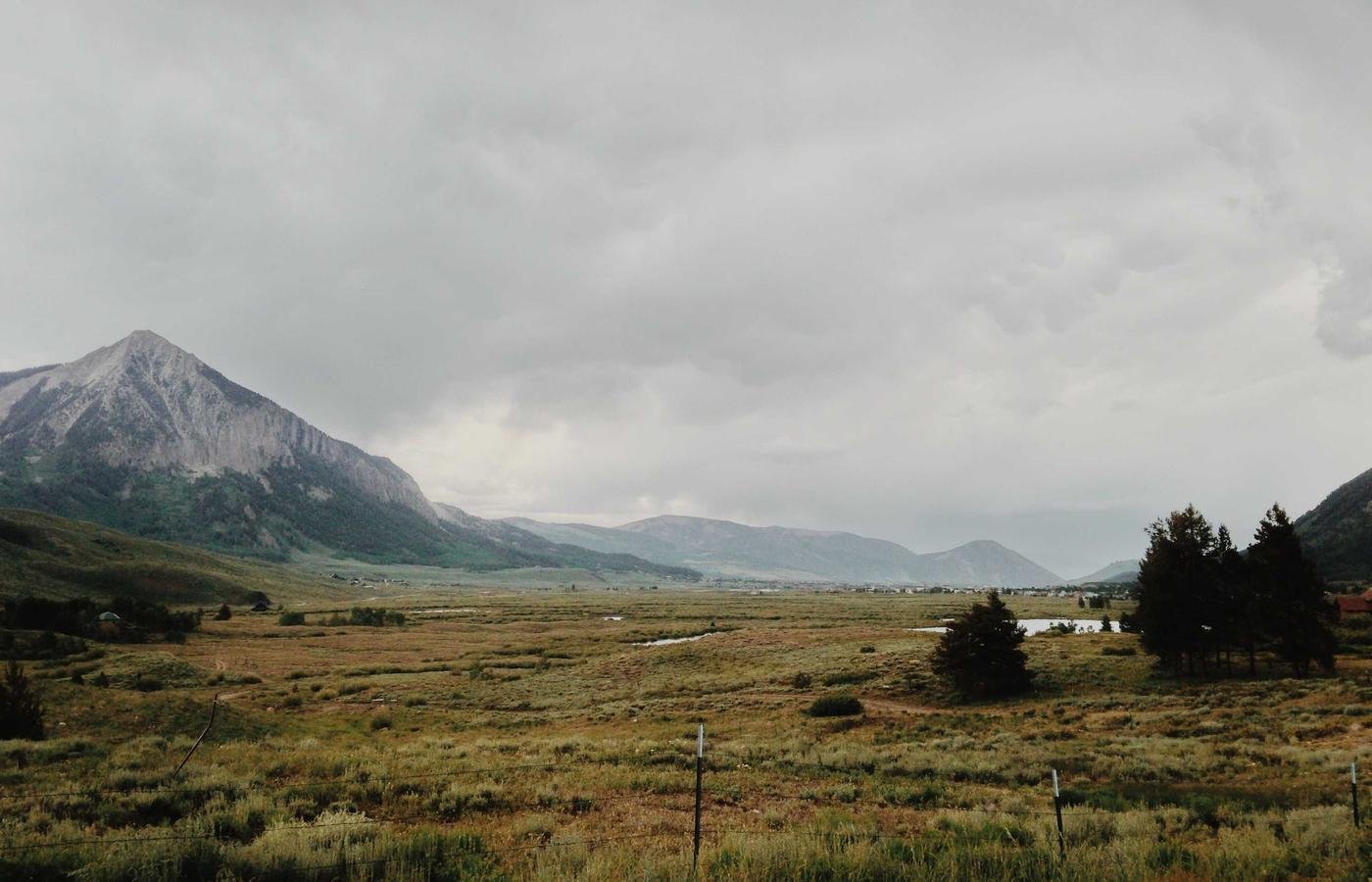 article section image 1