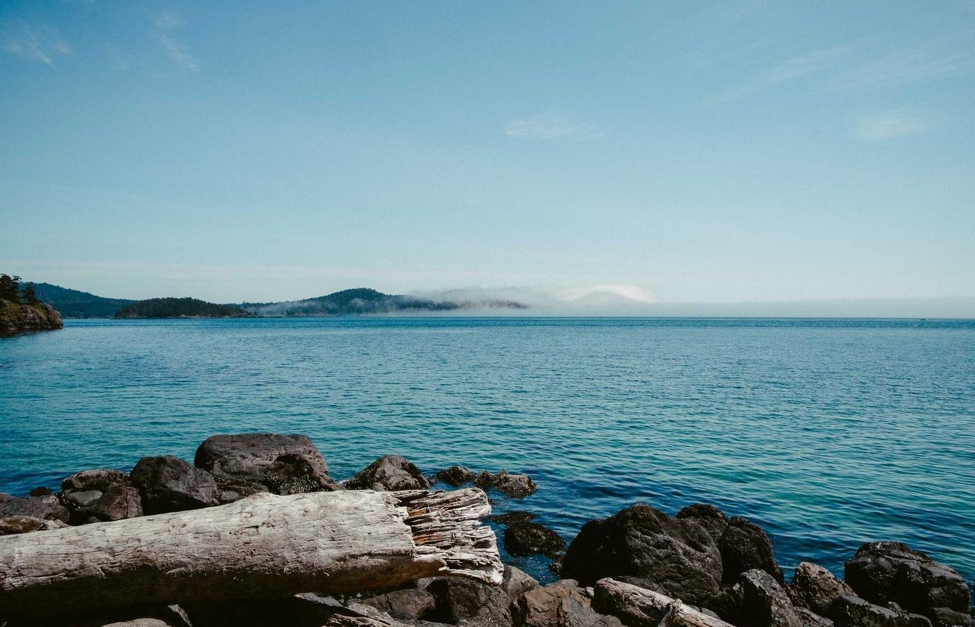 article section image 2