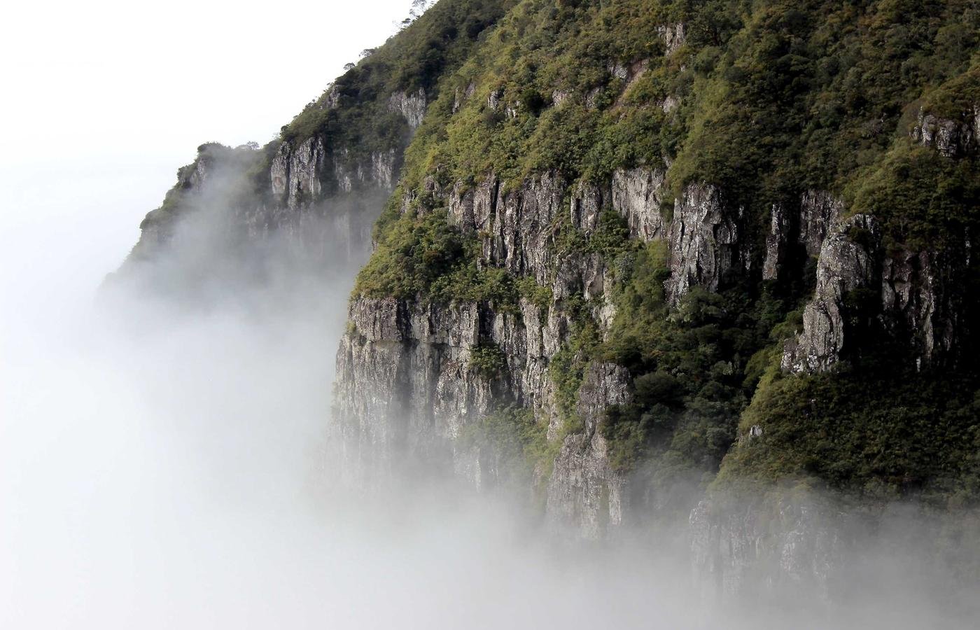 article section image 2