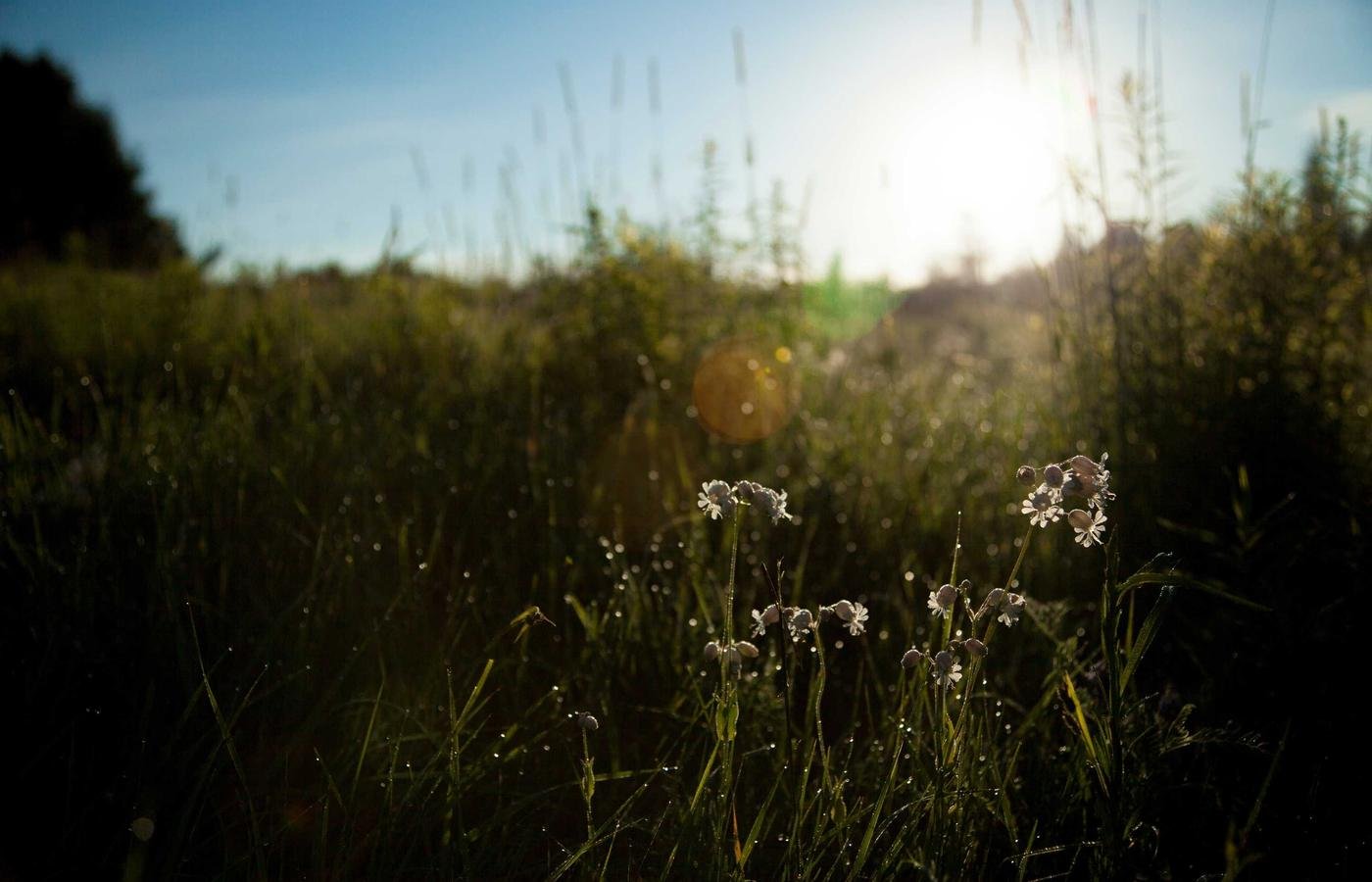 article section image 2