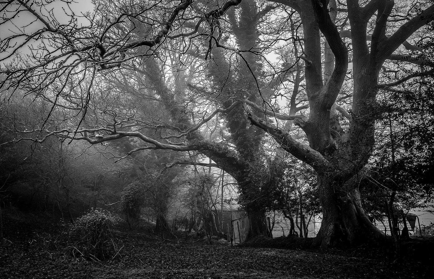 article section image 2