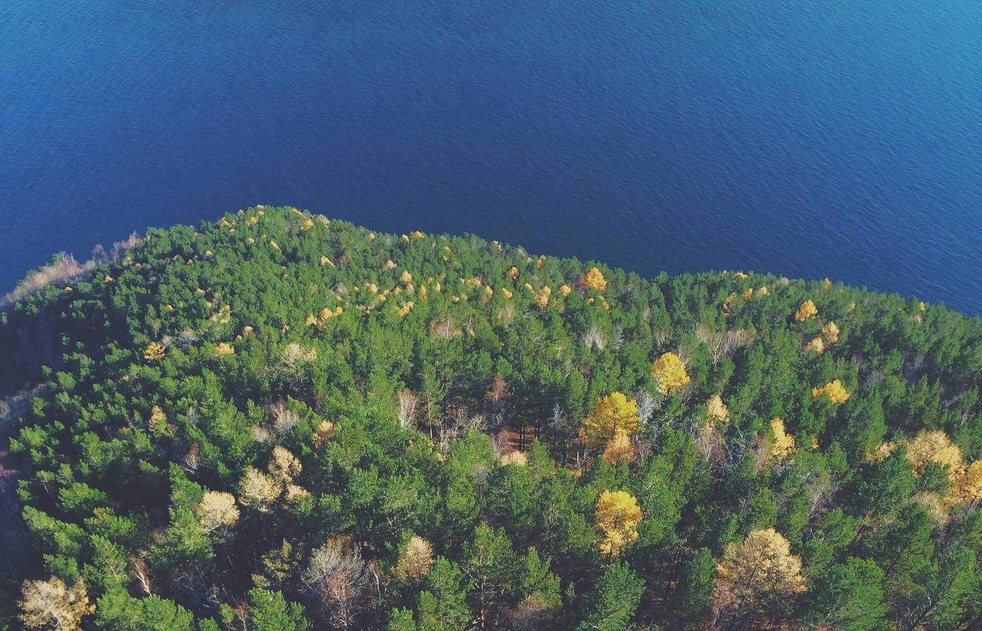 article section image 2