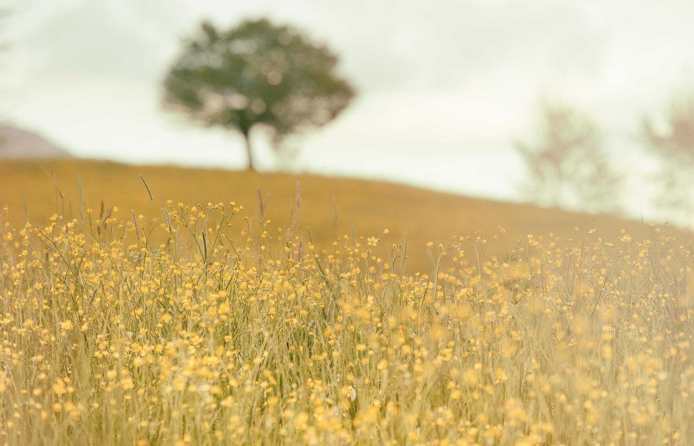 article section image 2