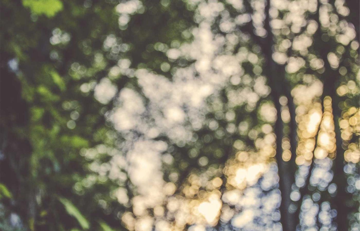 article section image 3