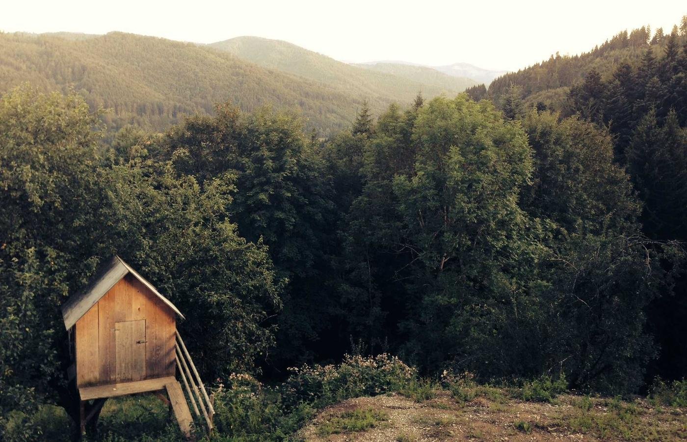 article section image 3