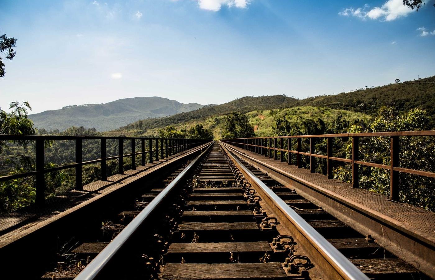 article section image 3