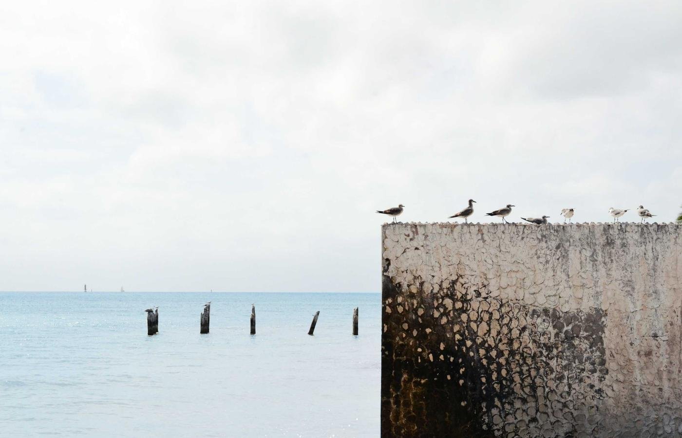 article section image 3