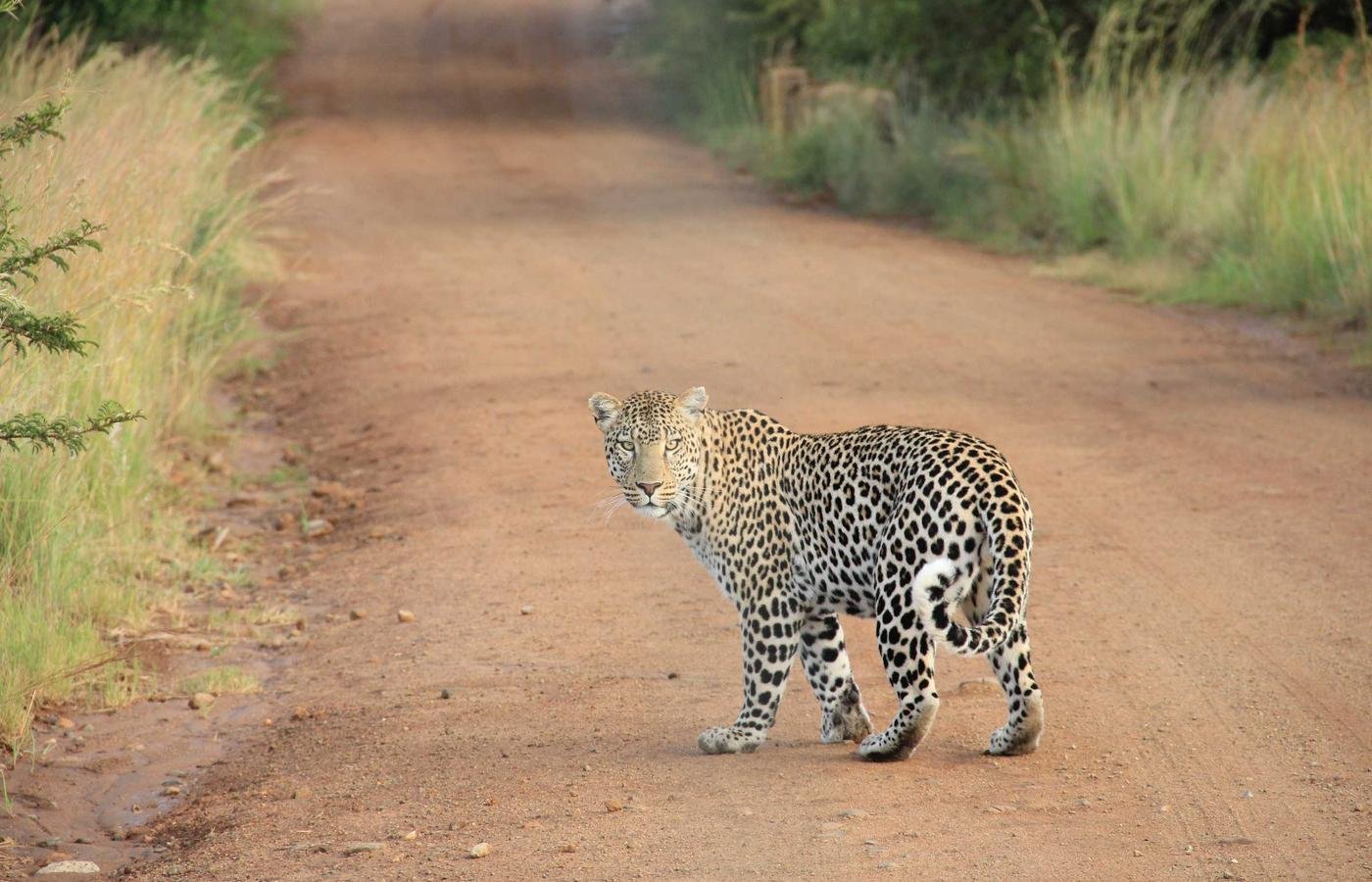 article section image 1