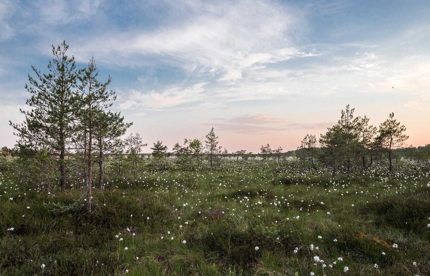 article section image 1