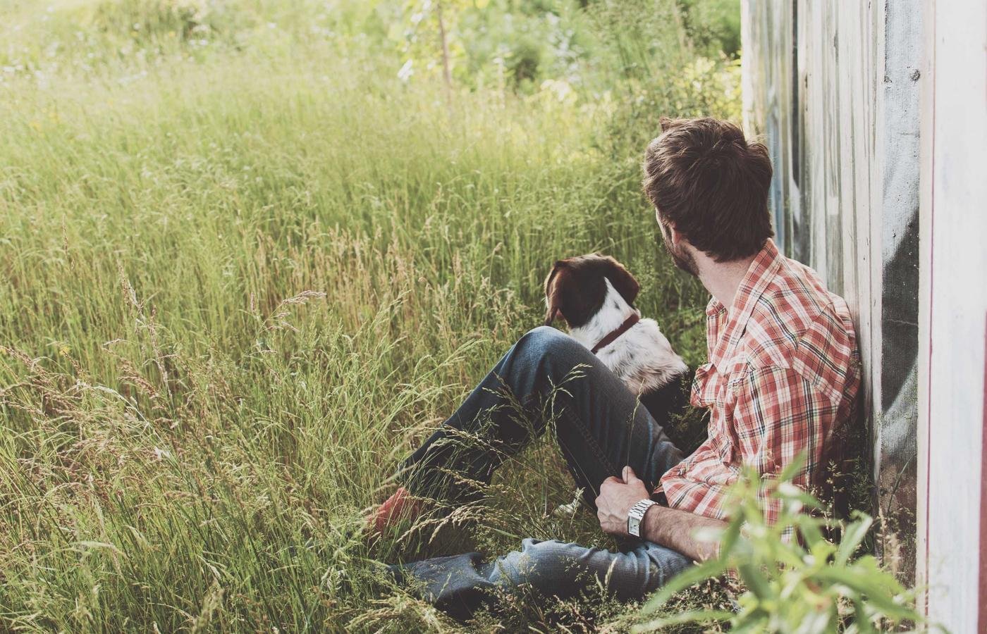 article section image 1