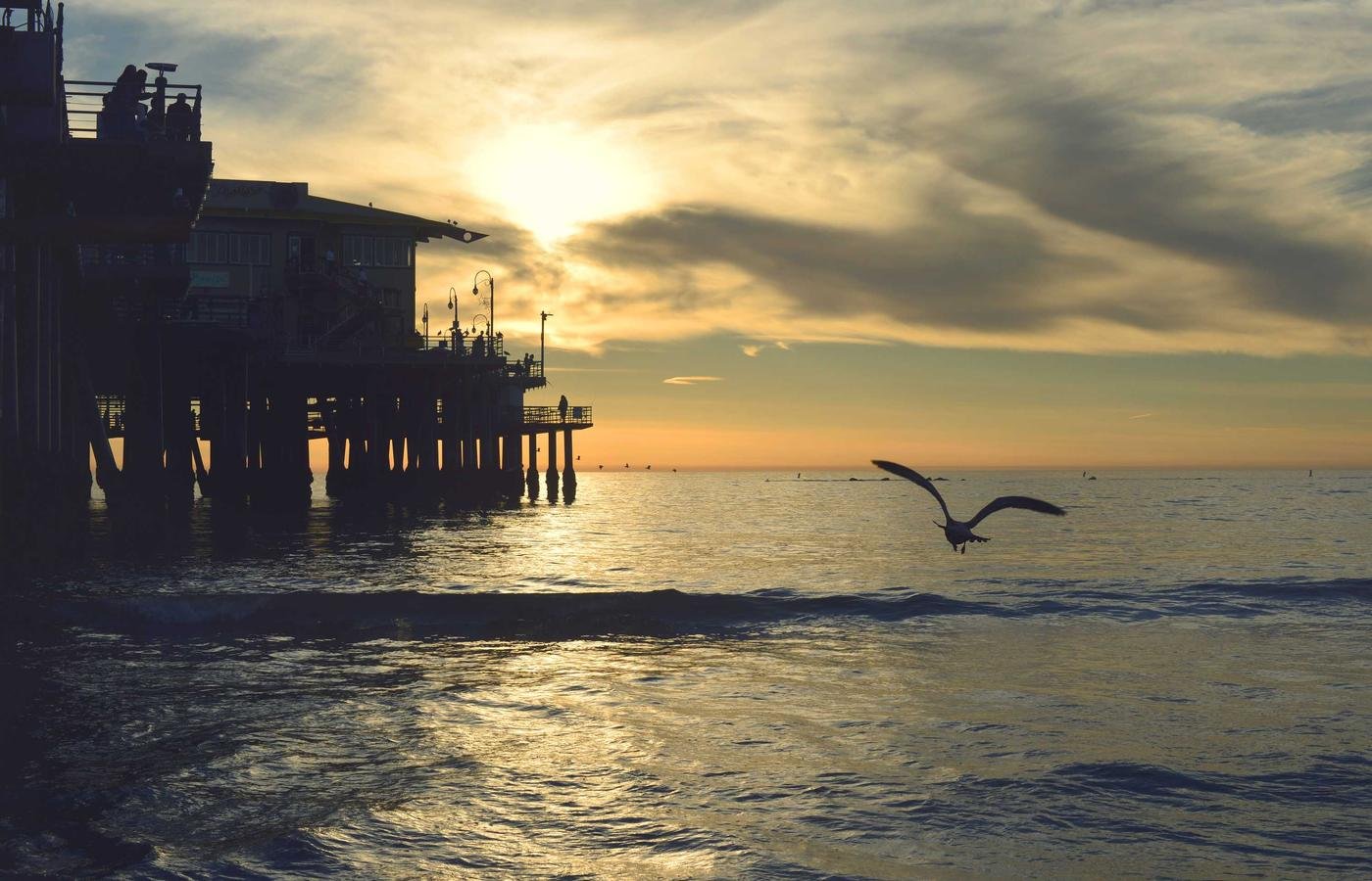 article section image 2