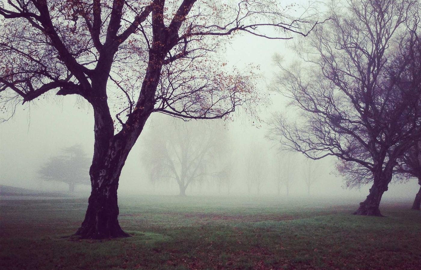 article section image 2