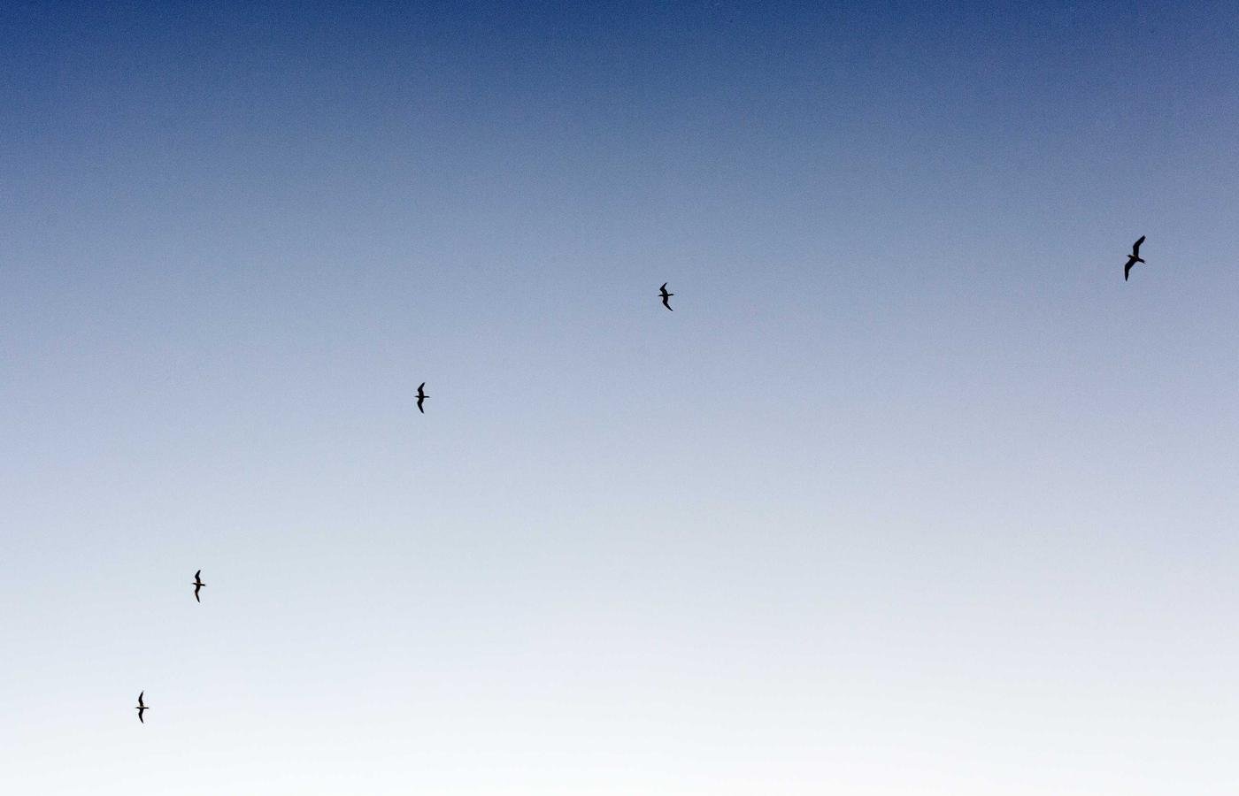 article section image 3