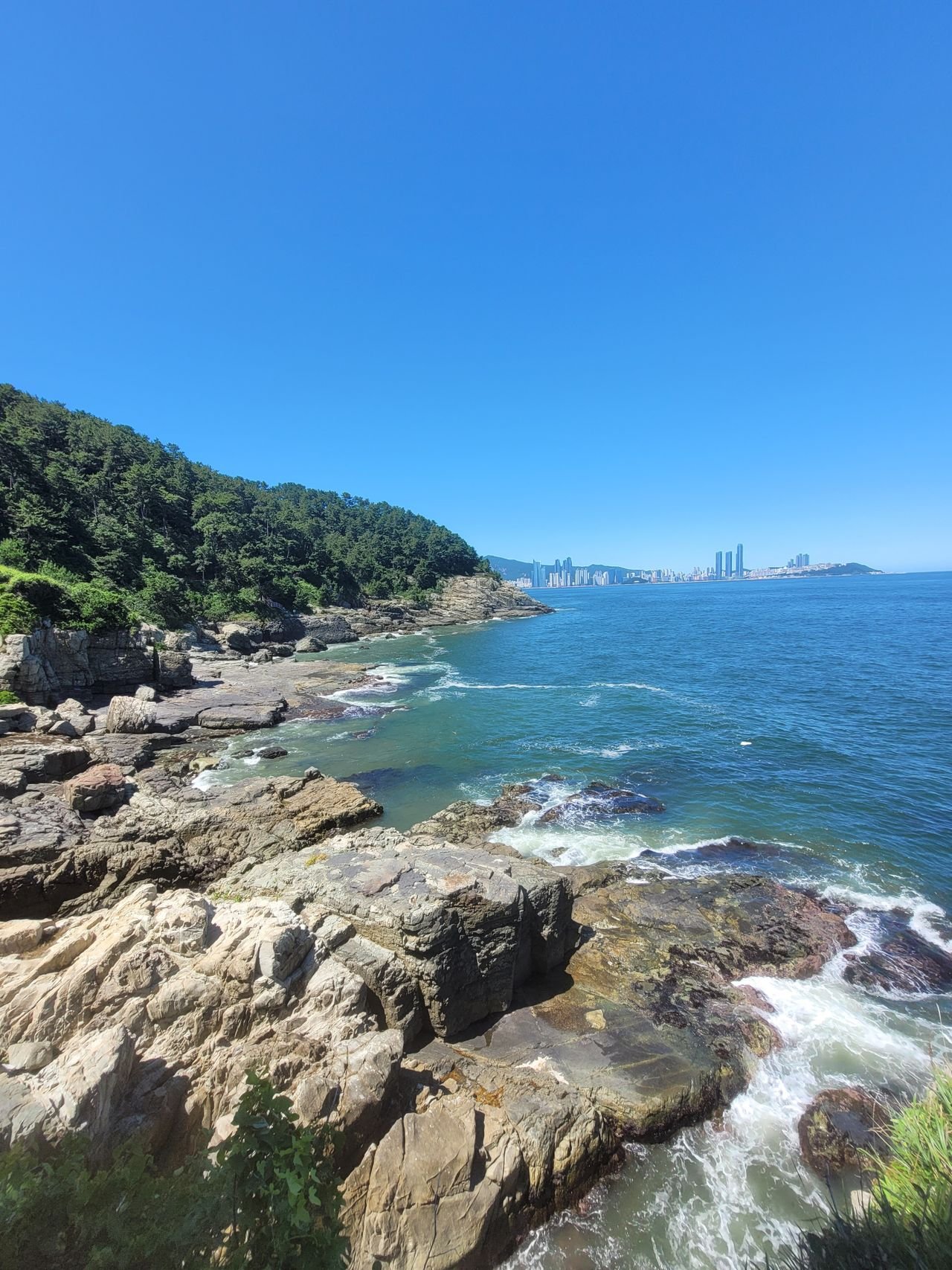 부산 해운대 해변과 도시 풍경 (Pexels 무료 사진, 특정 숙소 사진 아님)