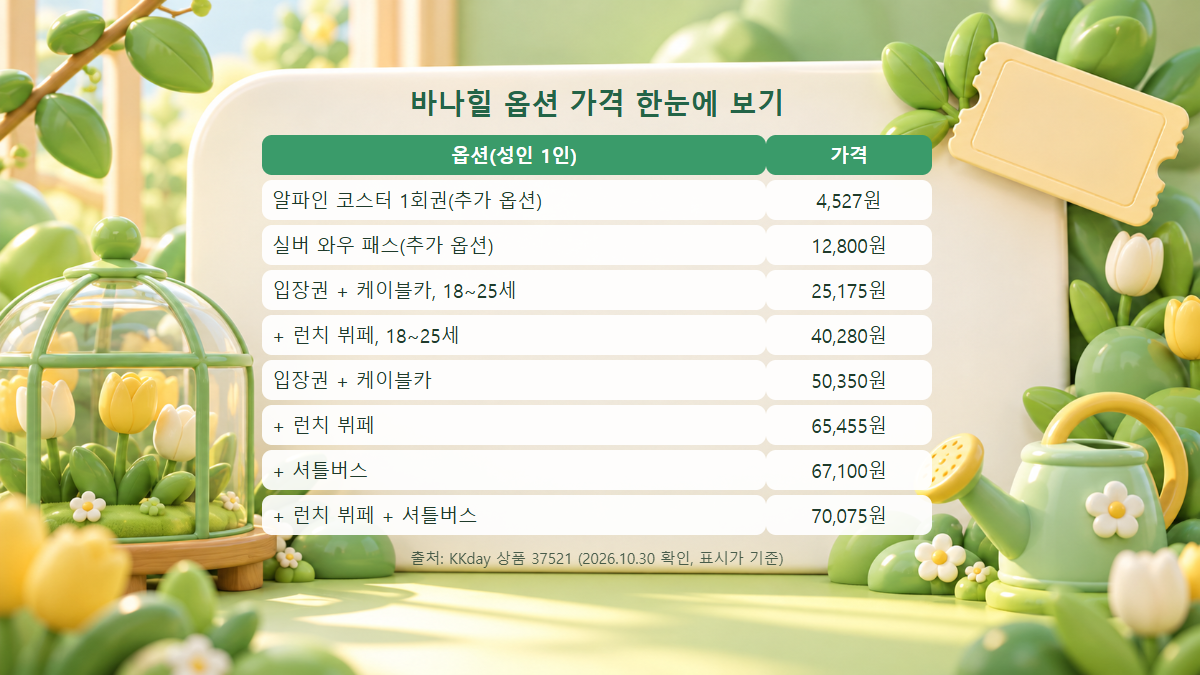 KKday 바나힐 입장권 옵션별 성인 1인 가격을 알파인 코스터부터 셔틀 포함 옵션까지 정리한 표