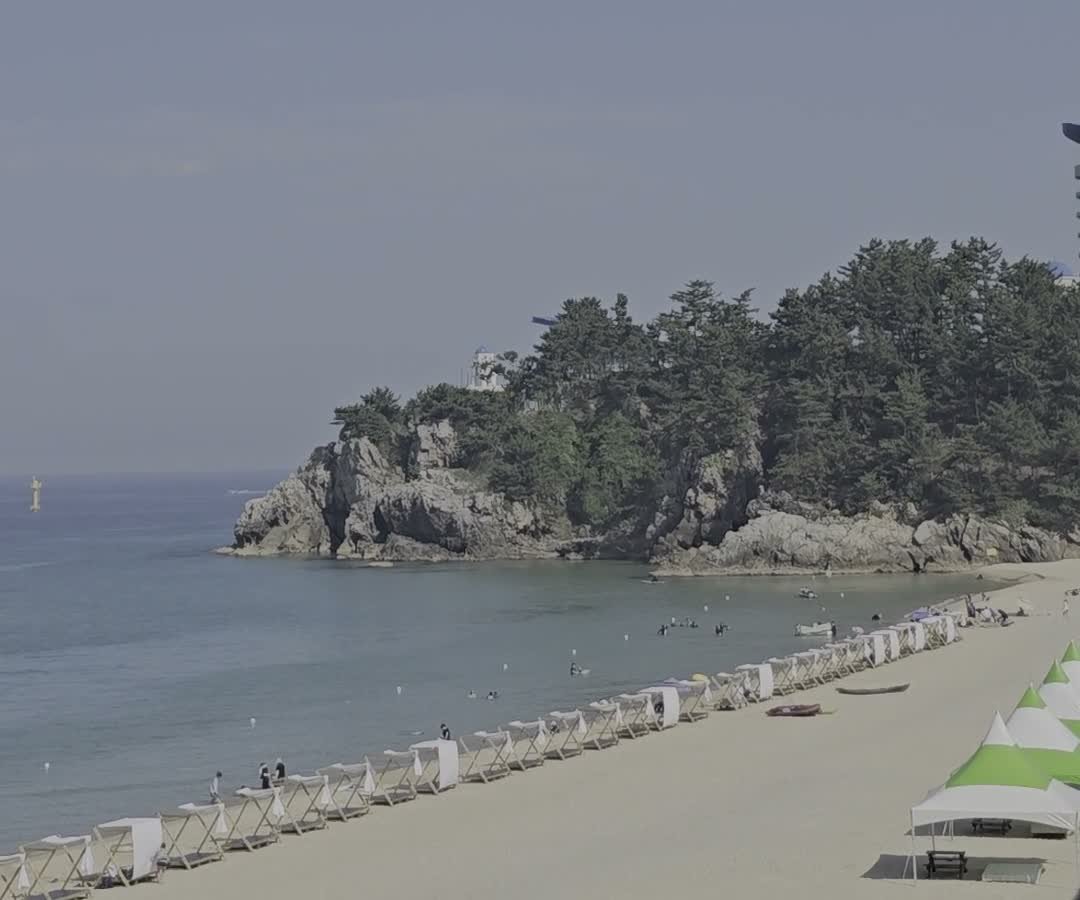 강문 해변 방향 모래사장과 파라솔, 소나무 숲 곶