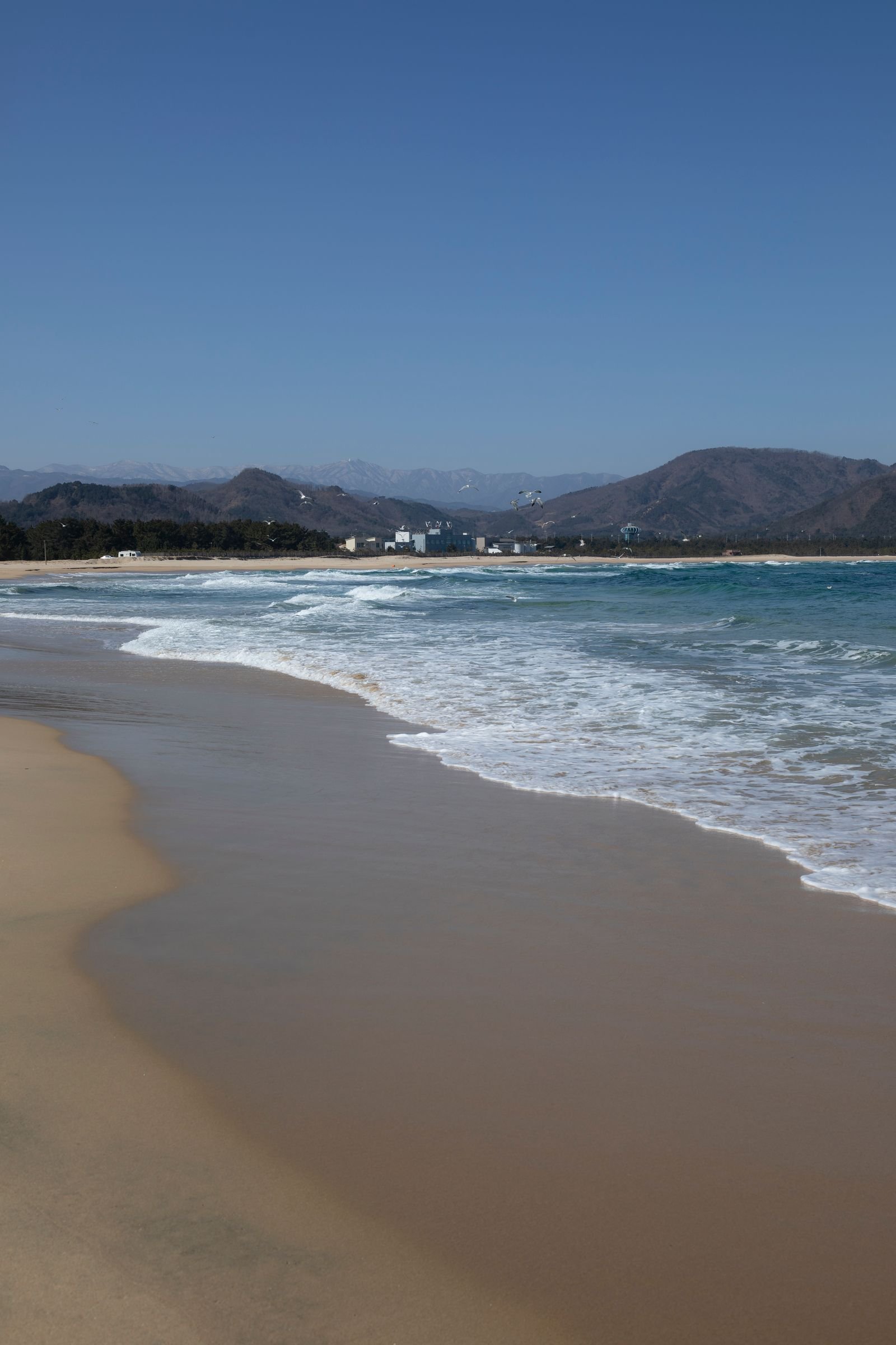동해안 해변 파도와 모래사장 (Pexels 무료 이미지, 특정 숙소 사진 아님)