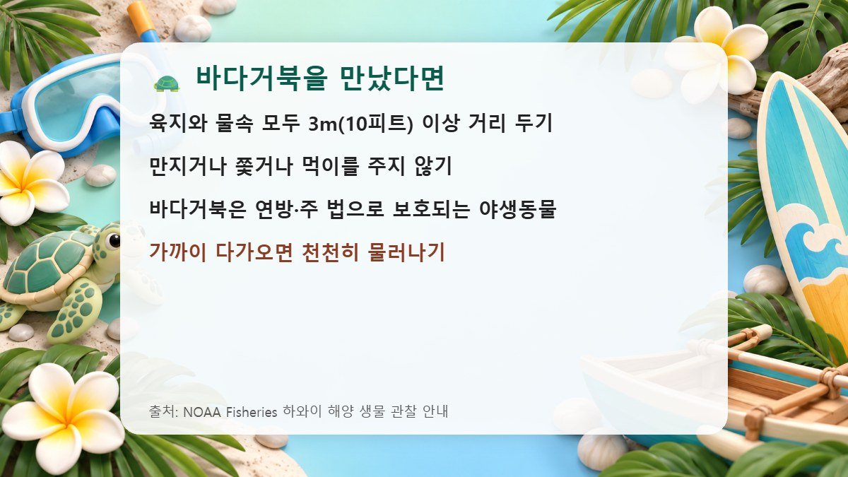 하와이 바다거북 관찰 거리 안내 카드
