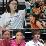 신인감독 김연경2 4회 예고 소개 사진 모음, 김연경 감독과 원더독스·흥국생명 선수들
