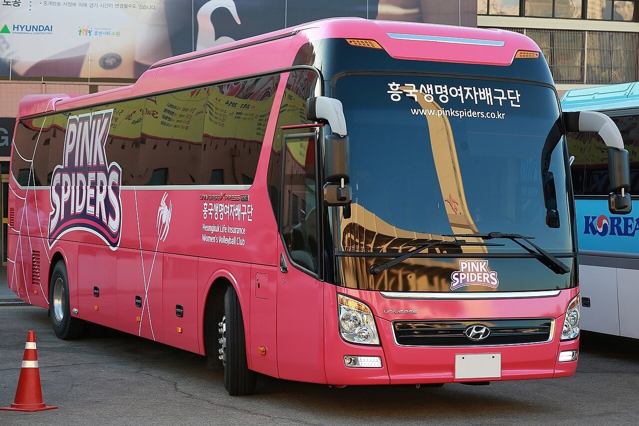흥국생명 핑크스파이더스 구단 버스